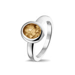 Zilveren gladde as ring  ovaal | sy-RG 034