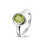 Zilveren gladde as ring  ovaal | sy-RG 034