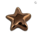 Keramische kunst urn keepsake Asteri ster in bronskleur | fp-FPU 069