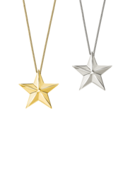 Zilveren hanger model ster mini | tw-348