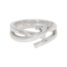 Zilveren duo as ring levensloop | tw-820