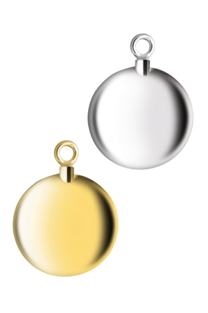 Zilveren hanger model bol rond | tw-204