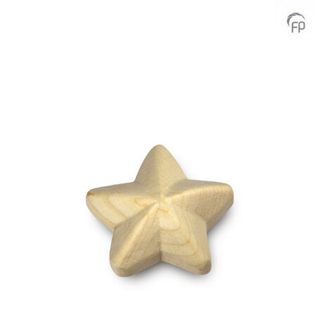 Elegante houten design urn Urna collectie ster keepsake | fp-WU 018 K
