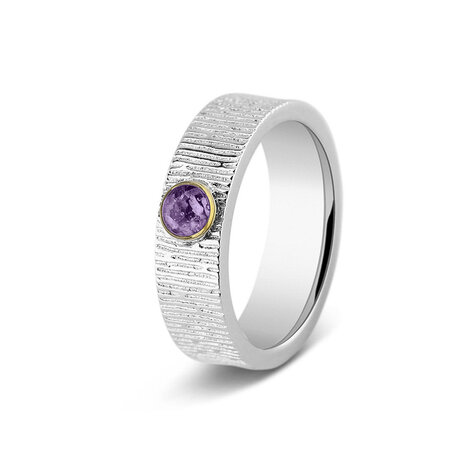 Zilveren as ring  Verticle Wrinkle 6 mm | sy-221 SY