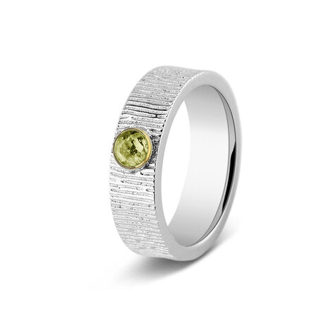 Zilveren as ring  Verticle Wrinkle 6 mm | sy-221 SY