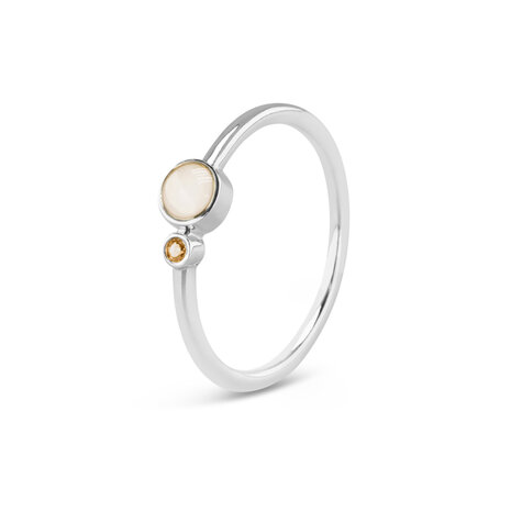 Zilveren as ring enkel met geboortesteen  | sy-RG 047