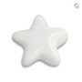 Keramische kunst urn keepsake Asteri ster in wit | fp-FPU 061