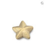 Elegante houten design urn Urna collectie ster keepsake | fp-WU 018 K